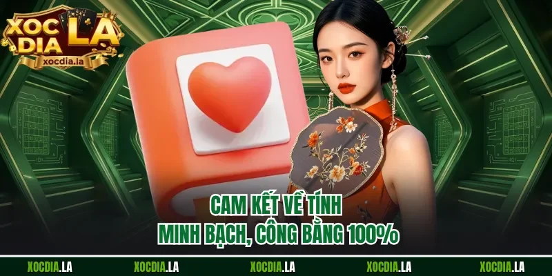 Cam kết về tính minh bạch, công bằng 100% 