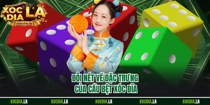 Đôi nét về đặc trưng của cầu bệt xóc đĩa