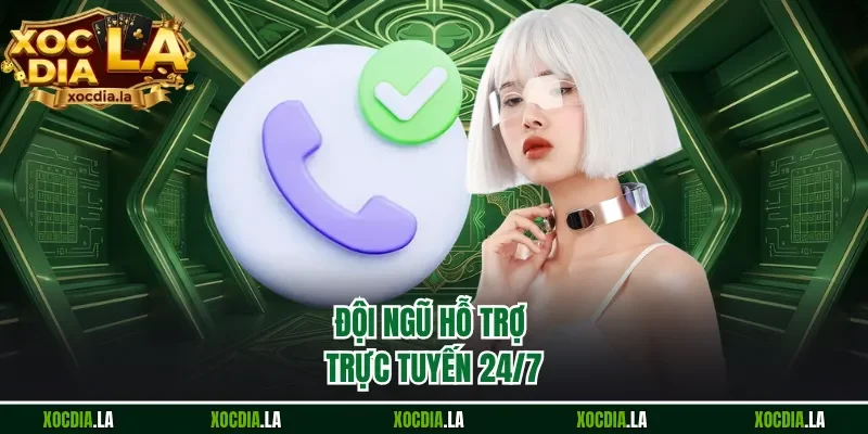 Đội ngũ hỗ trợ trực tuyến 24/7