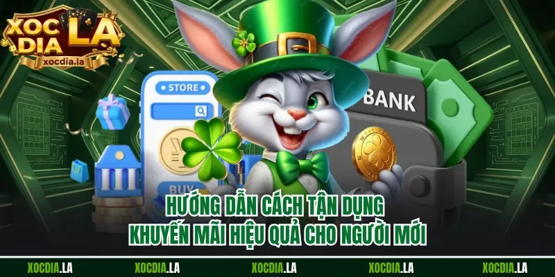 Hướng dẫn cách tận dụng khuyến mãi hiệu quả cho người mới