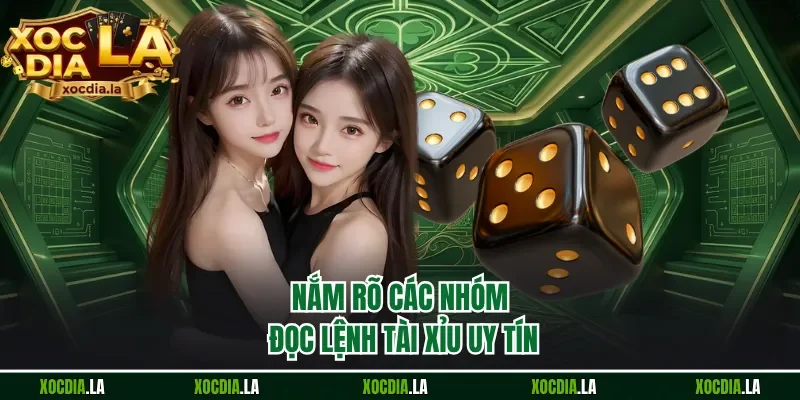 Nắm rõ các nhóm đọc lệnh tài xỉu uy tín