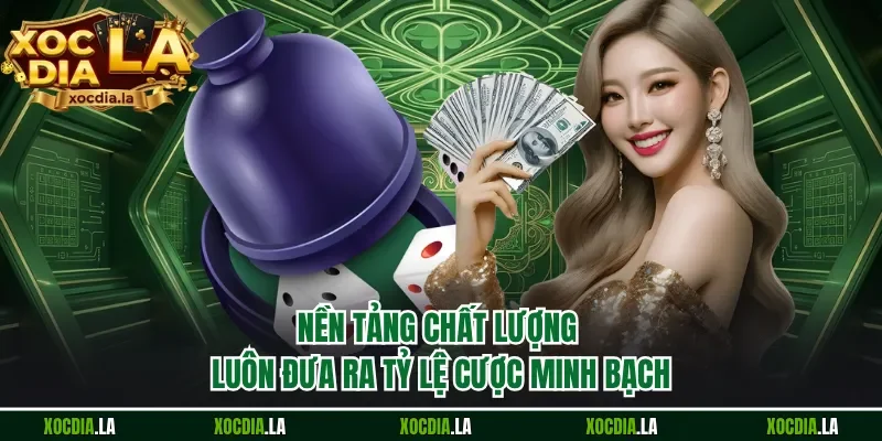 Nền tảng chất lượng luôn đưa ra tỷ lệ cược minh bạch