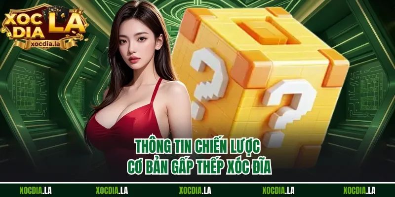Thông tin chiến lược cơ bản gấp thếp xóc đĩa