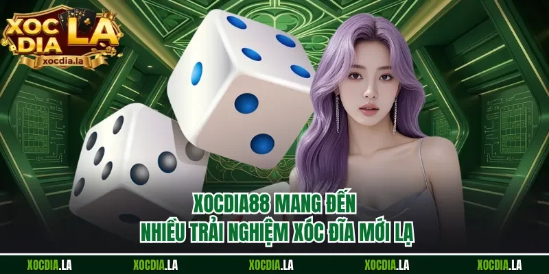 Xocdia88 mang đến nhiều trải nghiệm xóc đĩa mới lạ